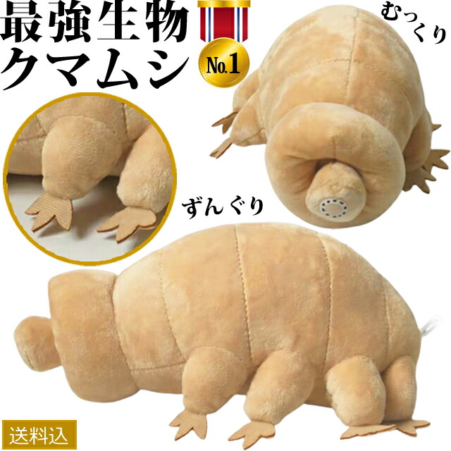 楽天市場】最強生物 クマムシL サイズ:30cm Water bear
