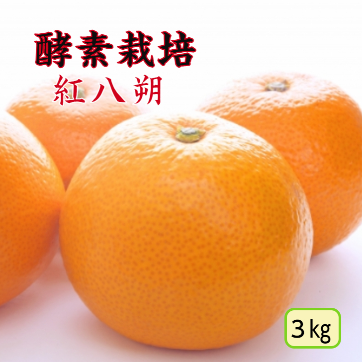 楽天市場】【１月下旬予約商品】【酵素栽培】紅八朔5kg【国産】【産地