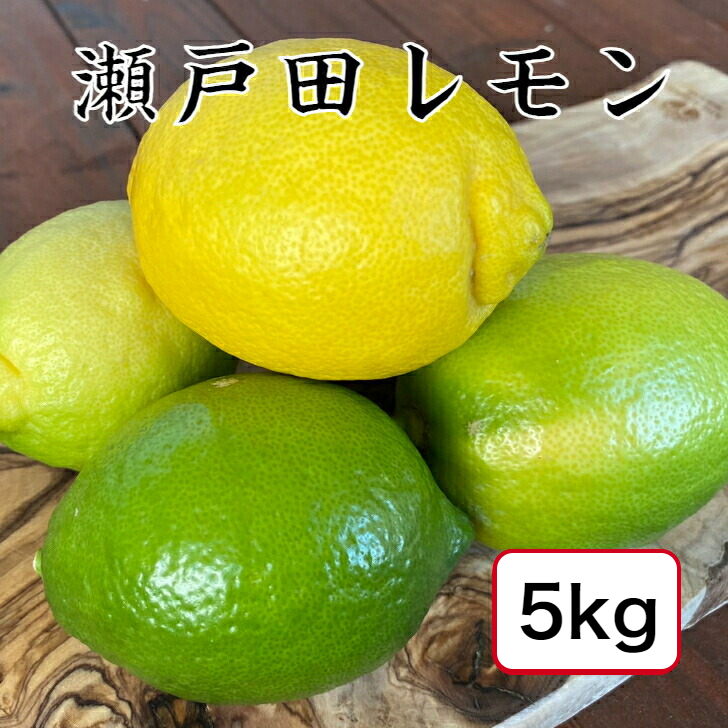 楽天市場】【産地直送】広島 瀬戸田 レモン 3kg グリーンレモン【国産