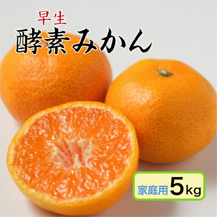 楽天市場】広島ブランドみかん【五つ星みかん】11月末ごろより発送