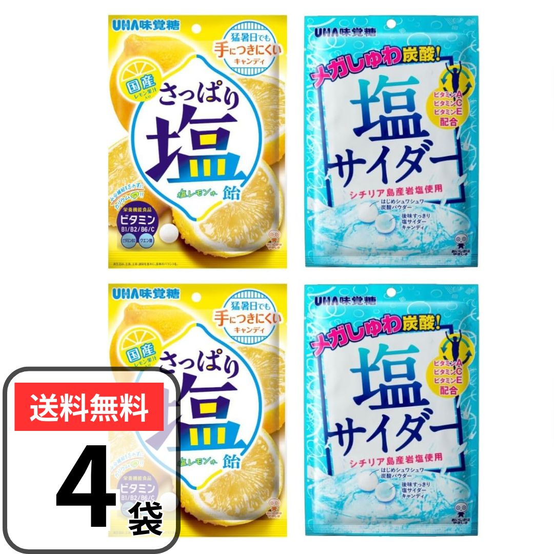 楽天市場】塩サイダー 66g 熱中症対策 熱中症予防 : ケンコー