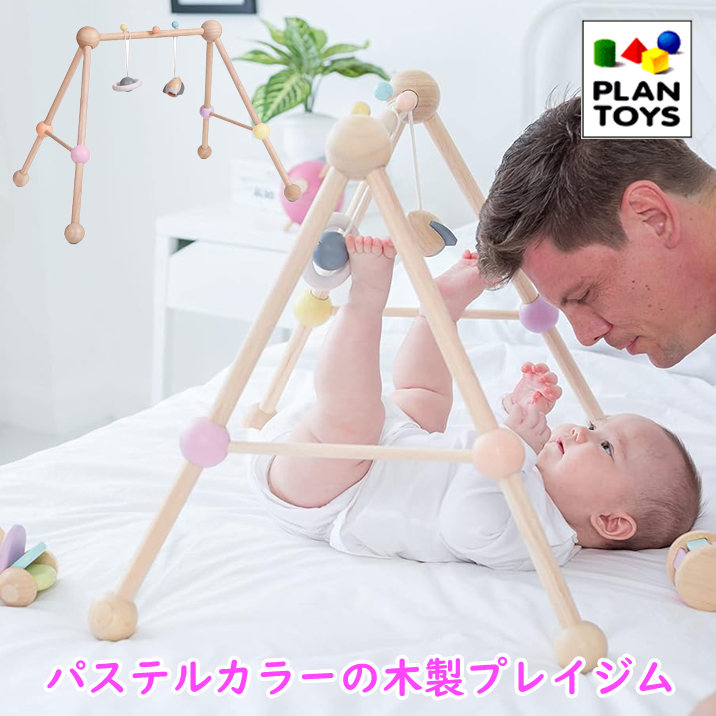腹積もり手あそび プレイジム 淡彩 木製 もの言う花体育館 木の手あそび 知育手あそび 可愛らしい ラトル