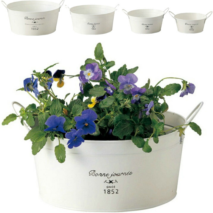 楽天市場】ブリキプランター クオティディアンバスケットS 穴あり