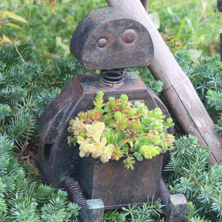 楽天市場】ブリキ ロボット 植木鉢 オブジェ ポット