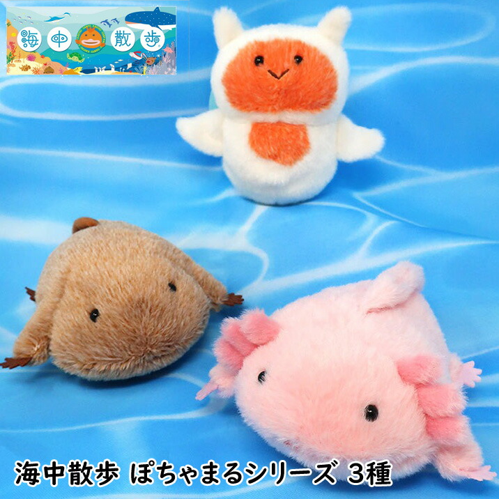 楽天市場】オオサンショウウオ (TP) : YY SHOP
