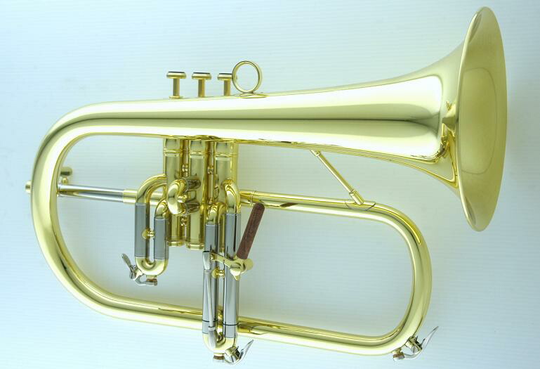 楽天市場】CarolBrass（キャロルブラス） フリューゲルホルン N6200 ALL-SATIN GB オールサテン : 管楽器専門店  Groovin' Trumpet