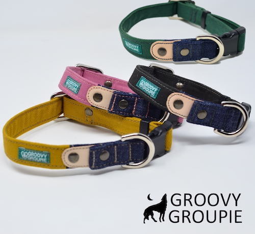 楽天市場 中型犬用 首輪 ツイルとデニム ポスト投函選択で送料無料 Groovy Groupie With Dog
