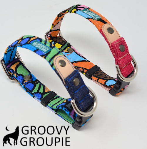 楽天市場 中型犬用 首輪 南国の庭 レザーとデニム ポスト投函選択で送料無料 Groovy Groupie With Dog