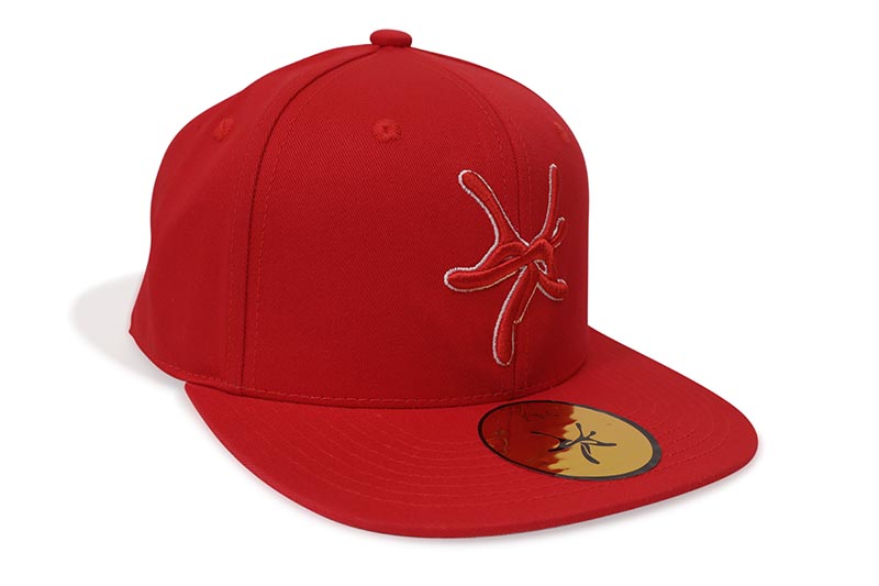 YSL HAT (RED) YOUNG THUG/ヤングサグ/フィッテドキャップ/レッド