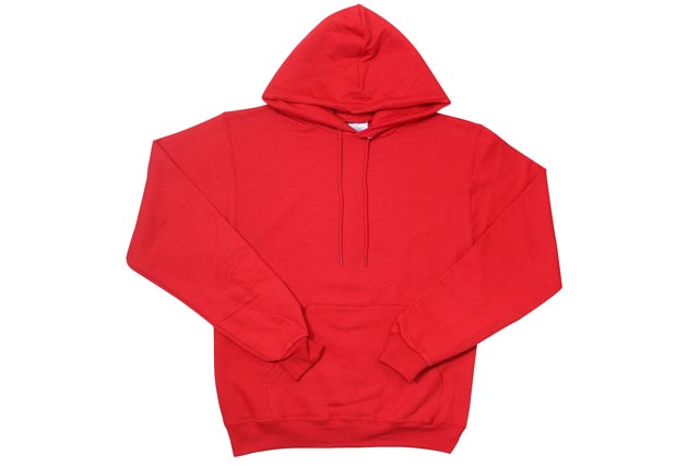 hoodie champion usa