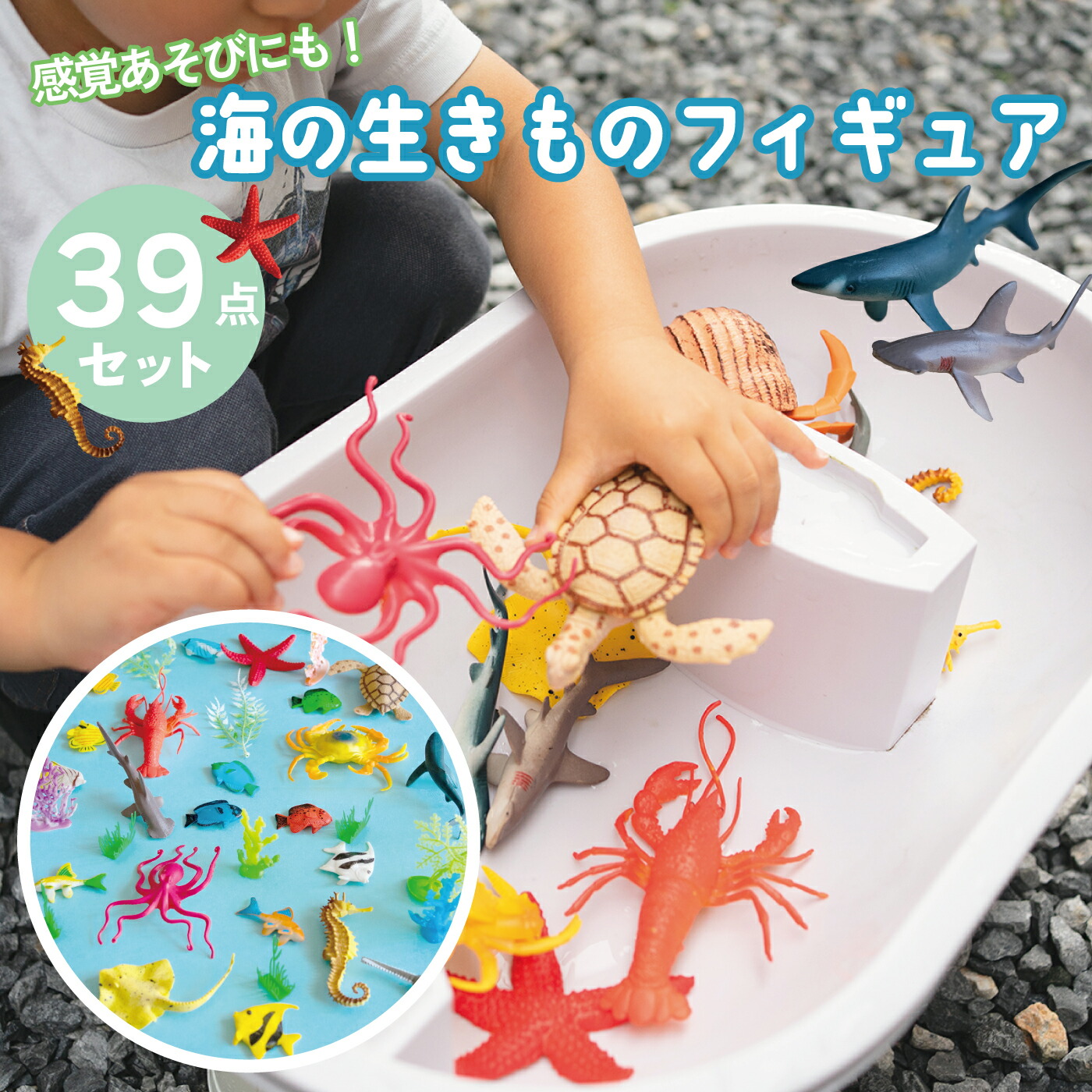 楽天市場】動物 リアル フィギュア 立体図鑑フレッシュ