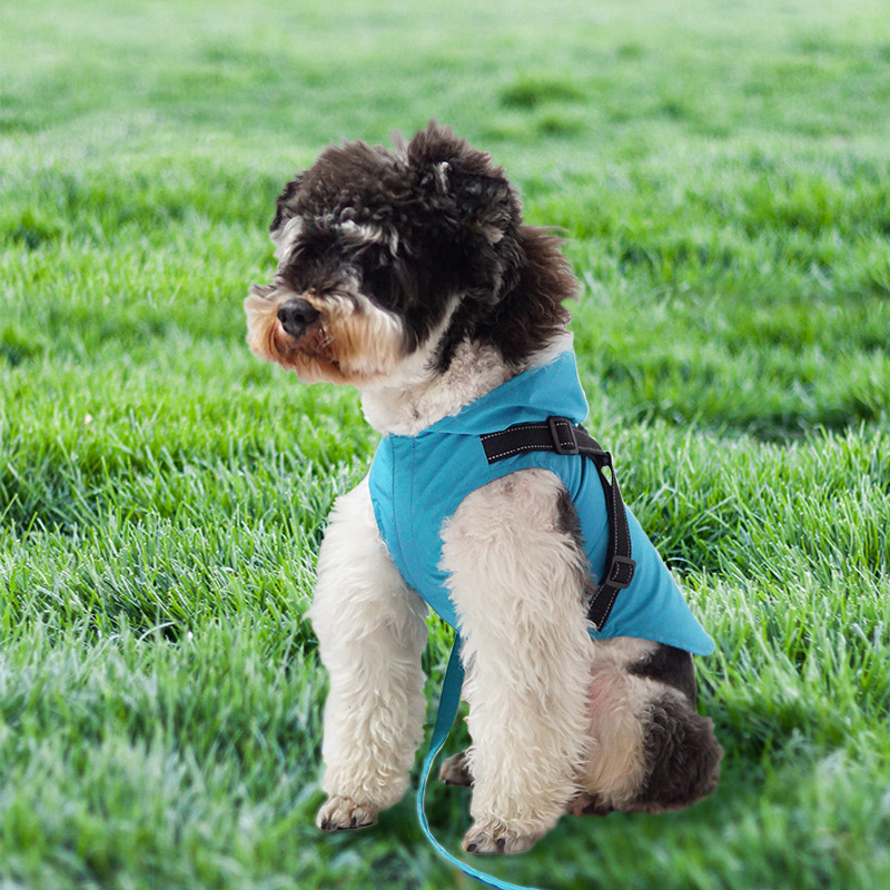 ランキング上位のプレゼント 犬 レインコート カッパ レイングッズ