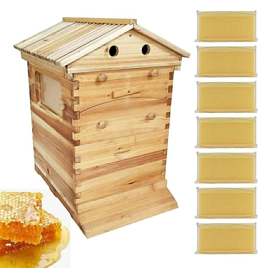 蜂鳥小屋 蜜蜂鳥小屋 養蜂箱 鳥小屋 蜂箱 フローハイブ養蜂仕掛ける 蜂繁殖箱 巣箱 蜜蜂繁殖箱 蜜蜂育てる 蜜蜂の採蜜 巣礎 巣脾 自動小銃蜂みつ選び出す