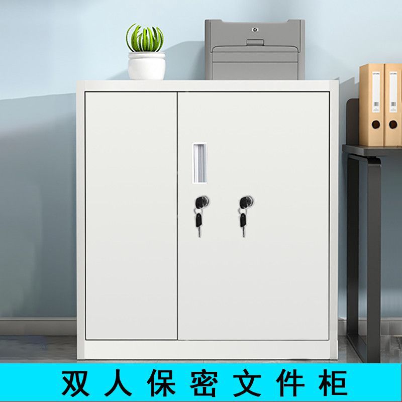 二人用ダブルロック式セキュリティキャビネット、厚型ファイルキャビネット、試験用鉄製キャビネット、試薬キャビネット、医薬品キャビネット、毒物キャビネット、アーカイブキャビネット