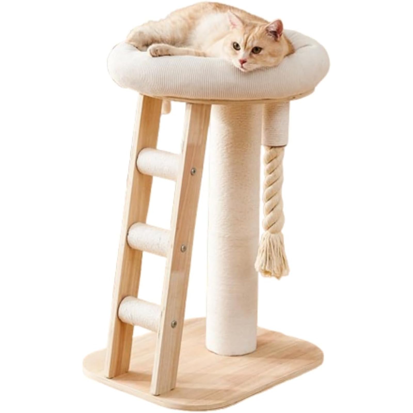 キャットタワー 木製 据え付けか細い 隅っこ 生まれながら木 今めかしい クリアボウル 子ネコ キャットツリー 猫高閣 室内装飾 兼ね合い感 分かりやすい 爪とぎ 幼猫 兼ね合い 綿織物紐