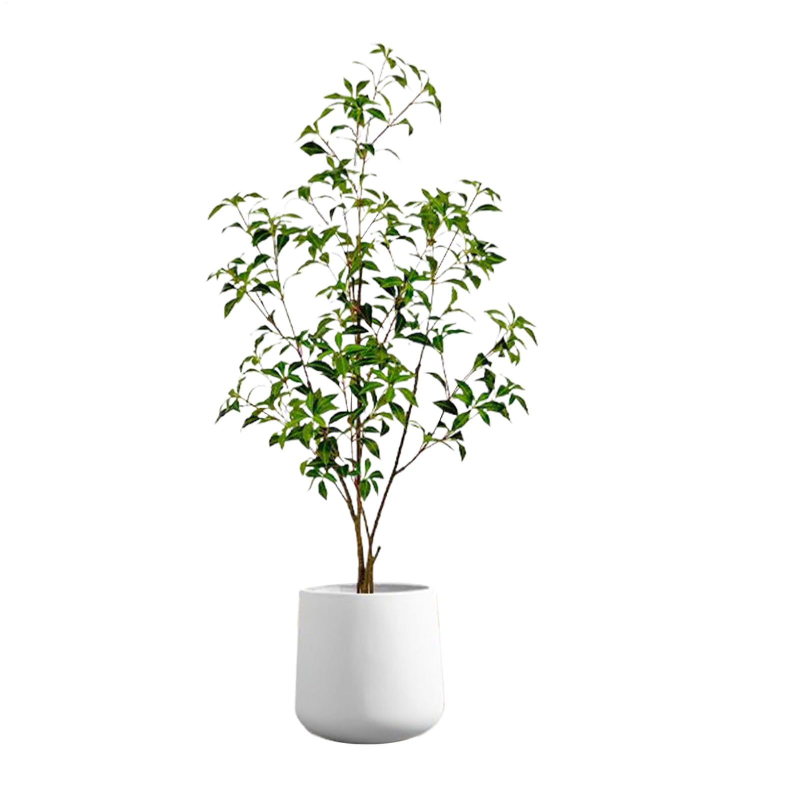 まがい物観葉草木 - ジプソフィラ 岩礁 天然木 まがい物 観葉草木,屋内室外かざり付ける緑であること,室外 合切袋 食べ物屋 アパルトマン 書屋 二階建てバスお座敷 室内装飾