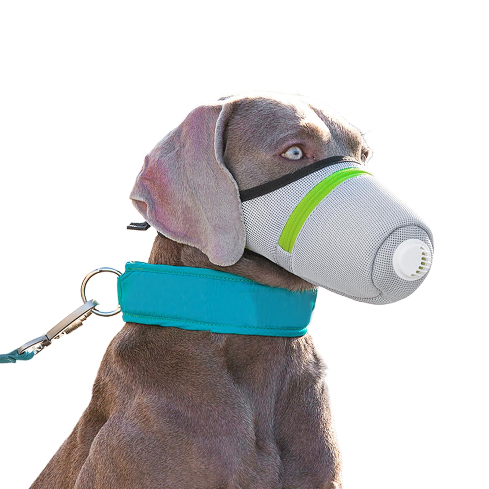 犬用マズル | アウトドア用噛み押しとどめるマズル,もの凄まじい噛み癖 用 口押しかぶせる - 愛玩動物用 小型 中型 大型 犬 ?外 ほっつき歩く 吠え押しとどめる 召し上がる 舐め押しとどめる 形づくる