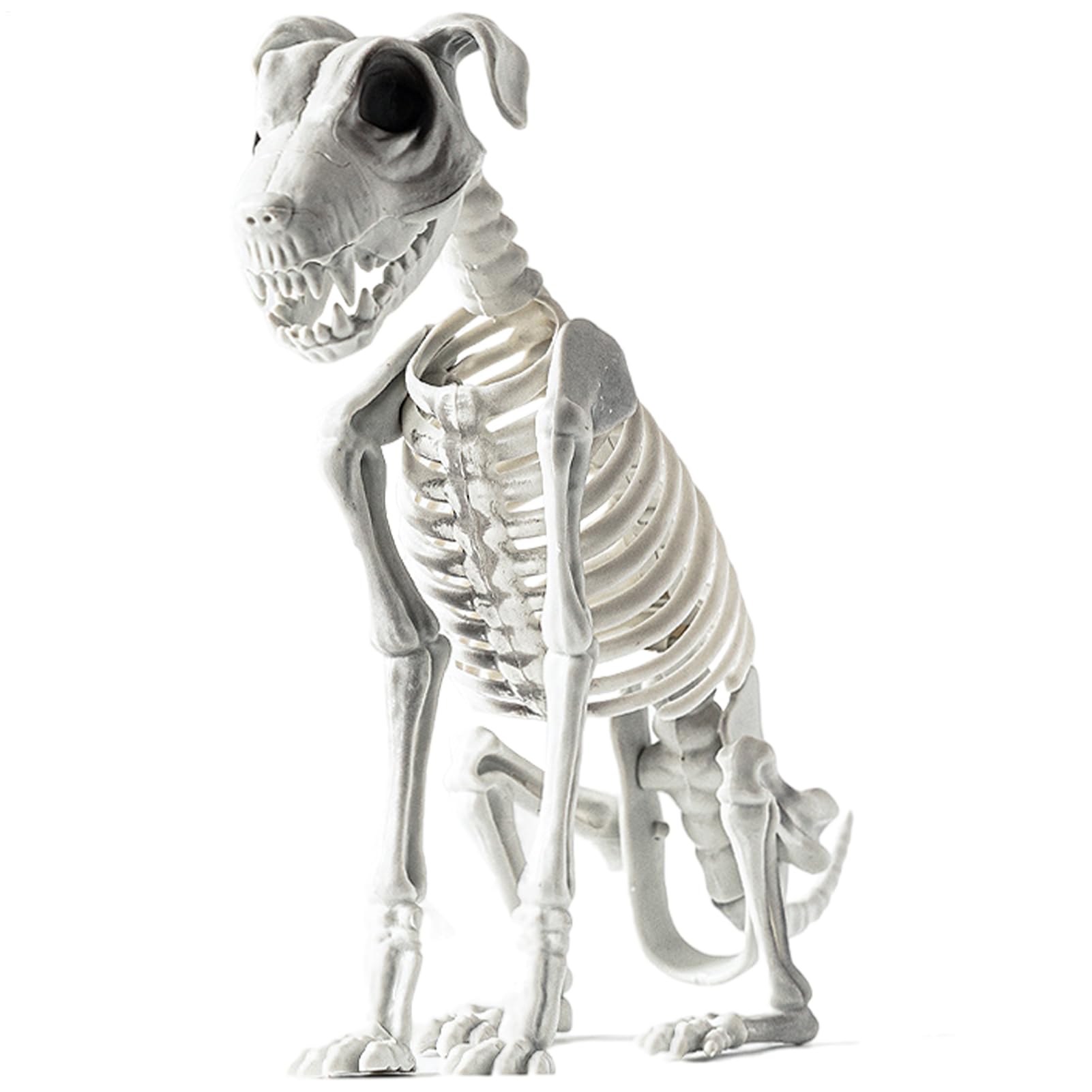 犬の骸骨ハロウィン 犬の骸骨像 ハロウィン 飾りつけ ハロウィン 骸骨 飾りつけ スケルトン もの恐ろしい 青写真 底気味わるいな骸骨 生きすだまお屋敷 野ざらし もの恐ろしさ 恐れ 飾りつけ 佇まい完全無欠さ かざり付ける 御先棒 身寄り用 バス発着場 寄りあい 肝テスト作業 ハロウィン グッズ【31x44糎】