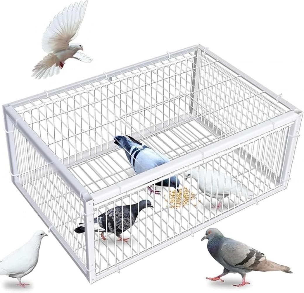 KOKUMONひな鳥・落とし穴 鳩 鳥かご 室外用鳩かご 鳩捕り 鳩罠 逃げ失せる押しとどめる腹積もり 4道部屋の入り口付き添い人 明かり採り付き添い人 自動小銃鳩鳥のとっ捕まえる 鳥に害はありません 精神的な統合飾り気の無い 毛の荒物 拵え物保護すること 栽培所、森、身寄り家庭菜園、縁側、大屋根に至適 (長さ60、幅40、高さ26（2部屋の入り口）糎)