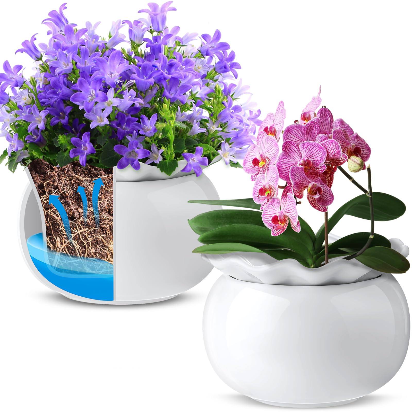 Suclain 2個パック 自己散水植物ポット 6インチ セラミック アフリカンバイオレットポット 忙しい植物愛好家のための簡単な自己散水植物ポット 屋内植物ポット 植木鉢 植物自給用ポット (ホワイト)｜グロースショップ
