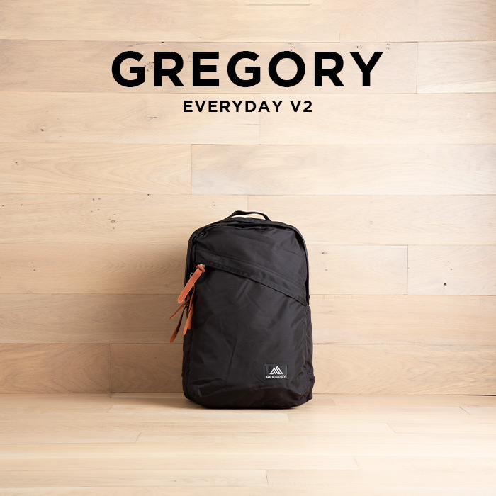 人気満点 Gregory グレゴリー エブリデイ V2 バッグ リュック リュックサック バックパック 通学 通勤 メンズ レディース ブラック 黒 ナイロン 安いそれに目立つ Mindurrypromotion Com