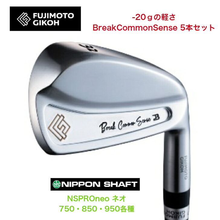 【カスタム】 藤本技術者 fujimtogikoh BreakCommonSense アイアン 5本仕掛ける（28度－45度） 日本立て坑 NSPROneo ネオ 750/850/950各種