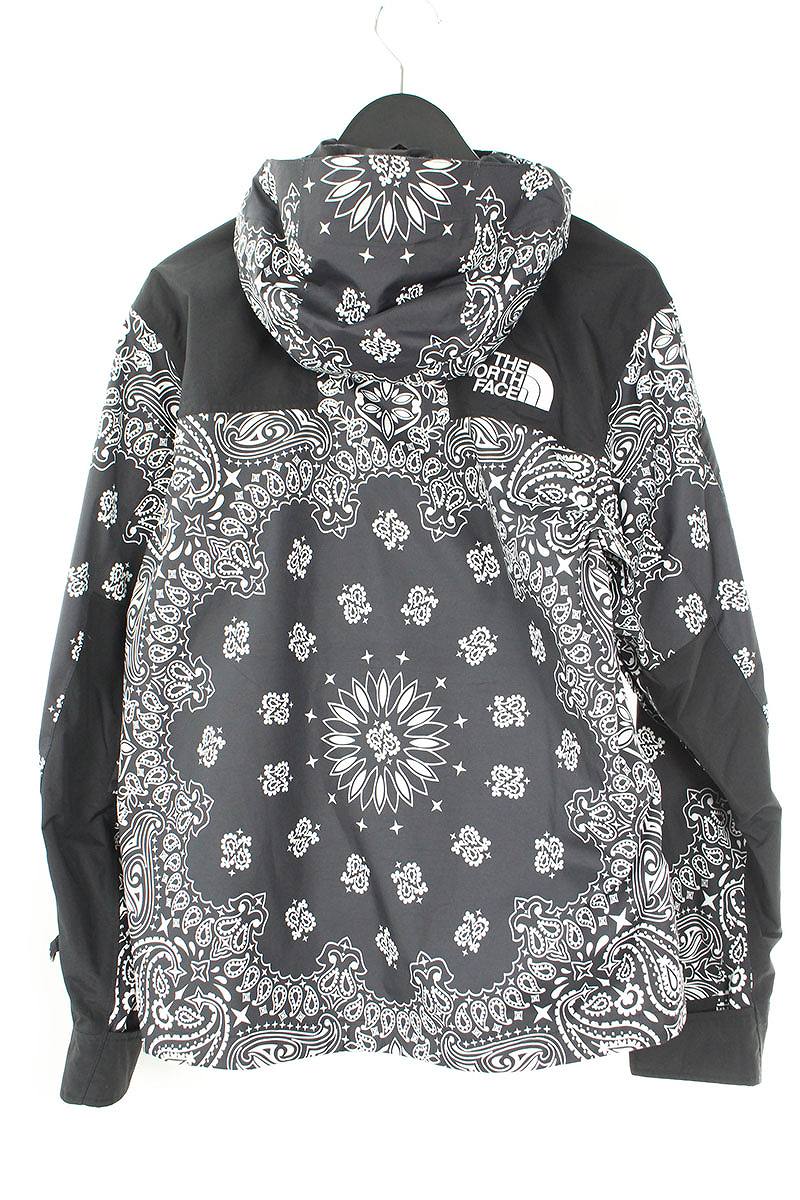 the north face paisley jacket