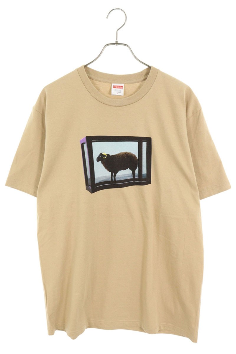 シュプリーム SUPREME 大きさ:L  25SS  Damien Hirst Tee ダミアン・ハーストプルオーバー(カーキ)【522062】【OM10】【メンズ】【中古】bb51#rinkan*A