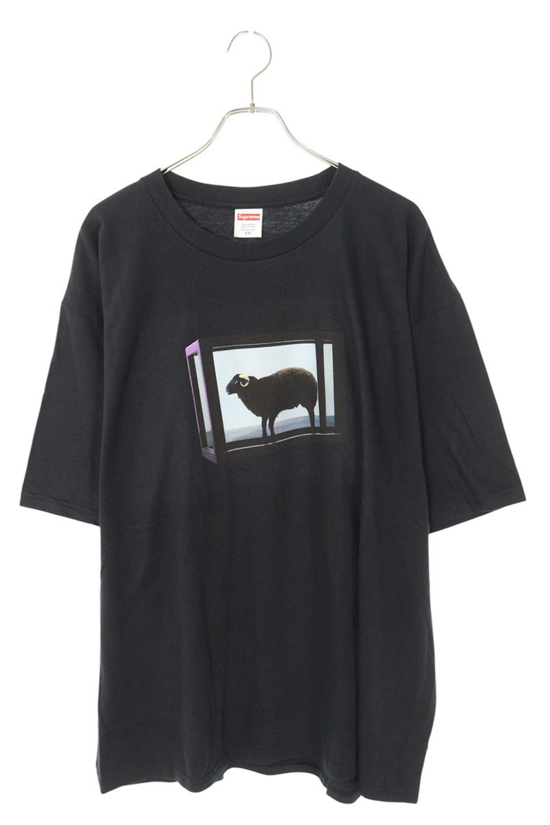 2009AW supreme ステッカー″ダミアン・ハースト” ２枚セット Supreme | ダミアン・ハースト ステッカー - UG.SHAFT