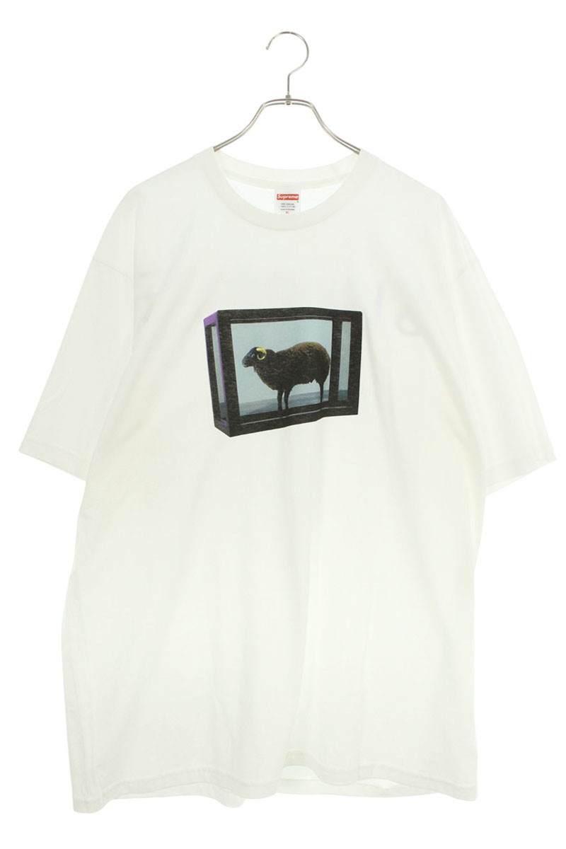 シュプリーム SUPREME 大きさ:XL  25SS  Damien Hirst Tee ダミアン・ハーストフォトプリントプルオーバー(白いこと)【103062】【SB01】【メンズ】【中古】bb212#rinkan*S