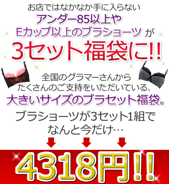 楽天市場 あす楽 即納 大きいサイズ ブラジャー ショーツ セット 3点セット 福袋 下着 ブラ ショーツ セット かわいい グラマー Eカップ Fカップ Gカップ Hカップ アンダー85以上 フェミニン セクシー ガーリー インナー X 003 Nm ベキジョガールズ