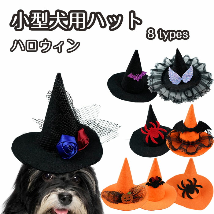 楽天市場】犬 帽子 ハロウィン まじょのぼうし S M L XL サイズ 魔女