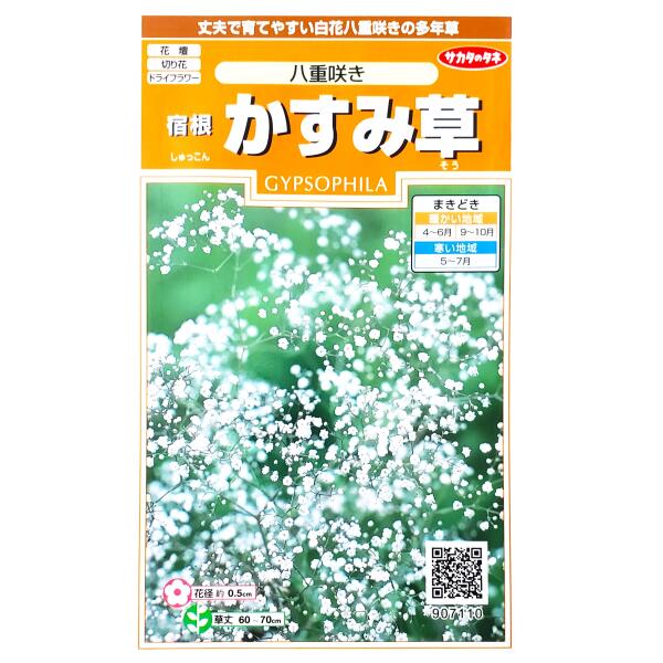 花栽培 71qLBmJ8awL._AC_SY200_QL15_.jpg