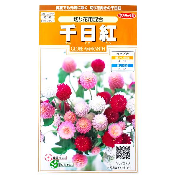 楽天市場】【サカタのタネ】金せん花（カレンジュラ） 切り花用 混合（2ml）【定形郵便・定形外郵便での発送のみ送料無料】花壇/コンテナ/プランター/ 切り花/花種/種子/植物/キンセンカ/金盞花/キク科/耐寒性1年草/春まき/秋まき/採苗本数：およそ25本/907141 : G-TOP