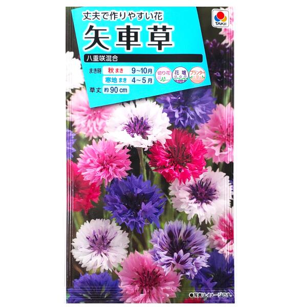 楽天市場】【タキイ種苗】百日草 カクタス咲混合（2.5ml）【定形郵便