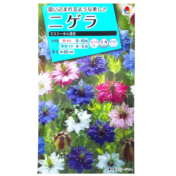 花栽培 y813200_3.jpg