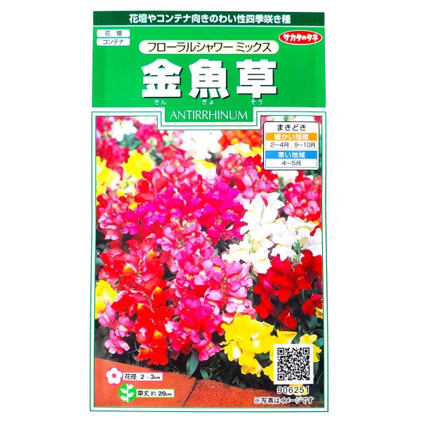 楽天市場】【サカタのタネ】トルコギキョウ バイカラー ミックス（0.2ml）【定形郵便・定形外郵便での発送のみ送料無料】コンテナ/切り花/切り花用/花種 /種子/植物/栽培/ガーデニング/自宅で/リンドウ科/耐寒性1〜2年草/秋まき/春まき/採苗本数：およそ30本/906581 : G-TOP