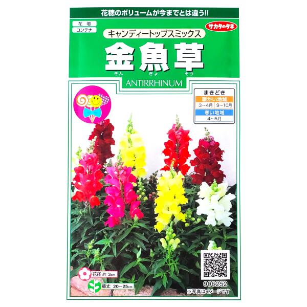 楽天市場】【サカタのタネ】トルコギキョウ バイカラー ミックス（0.2ml）【定形郵便・定形外郵便での発送のみ送料無料】コンテナ/切り花/切り花用/花種 /種子/植物/栽培/ガーデニング/自宅で/リンドウ科/耐寒性1〜2年草/秋まき/春まき/採苗本数：およそ30本/906581 : G-TOP