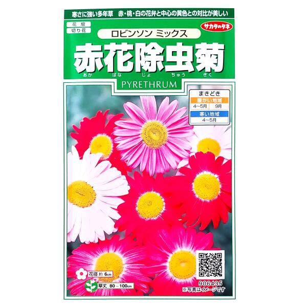 楽天市場 サカタのタネ 赤花除虫菊 ロビンソン ミックス 1ml 定形郵便 定形外郵便での発送のみ送料無料 花壇 切り花 切り花用 花 種 種子 植物 栽培 ガーデニング 自宅で 多年草 春まき 秋まき ムシヨケギク 採苗本数 およそ80本 G Top