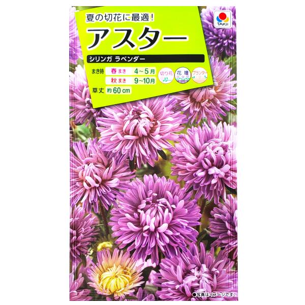 代引き人気 タキイの種 切り花 花壇 プランター 花種 種子 植物 栽培 ガーデニング 自宅で エゾギク キク科 春まき 秋まき 採苗本数 およそ70本 Fas863 Qdtek Vn