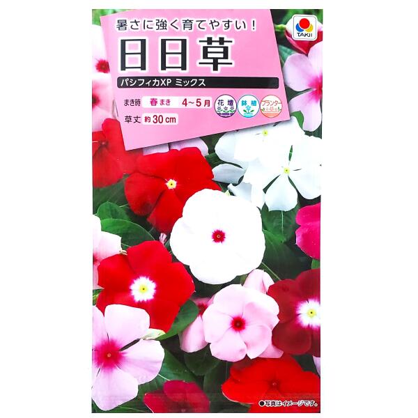 楽天市場】花種子 日日草「パシフィカXP ミックス」60粒（タキイ種苗