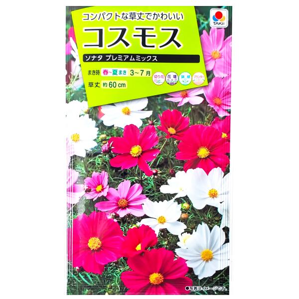 コスモス ソナタプレミアムミックス 50粒 アキザクラ ガーデニング キク科 タキイの種 プランター 切り花 夏まき 採苗本数 春まき 栽培 植物 秋桜 種子 花壇 花種 鉢植 5 大好評 50粒