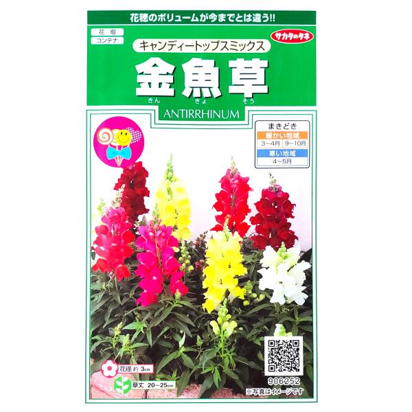 ★金魚草⑫〜⑳★ gt3771.jpg