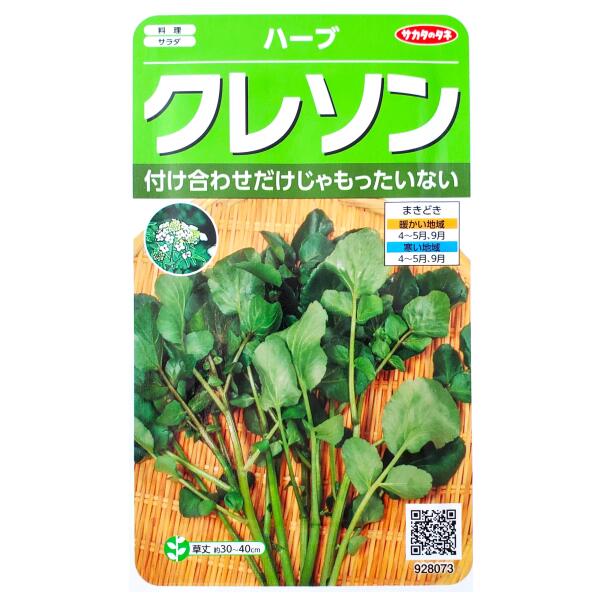 楽天市場 サカタのタネ クレソン 0 7ml 定形郵便 定形外郵便での発送のみ送料無料 料理 サラダ ハーブ 香り 辛み 肉料理 天ぷら 塩漬け 家庭菜園 種子 植物 栽培 ガーデニング 自宅で オランダガラシ 多年草 春まき 秋まき 採苗本数 およそ0本 G Top