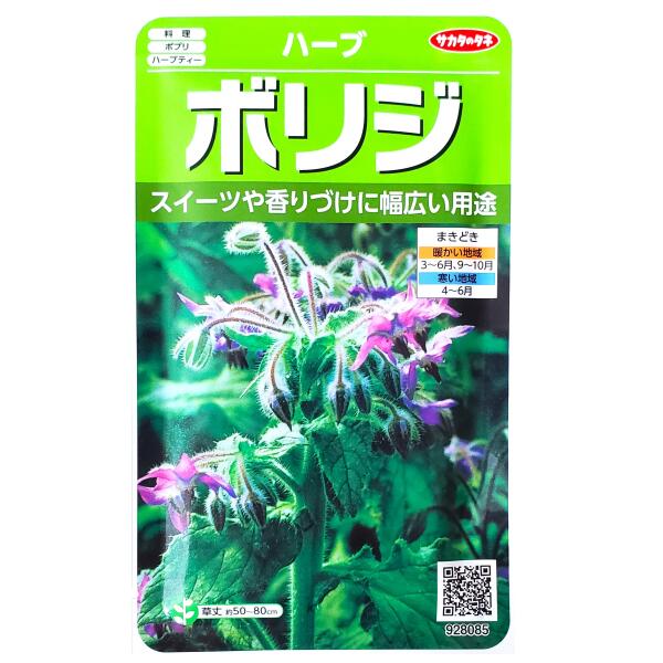 市場 サカタのタネ 定形外郵便での発送のみ送料無料 ビール 料理 ハーブ 香りつけ ワイン ボリジ 定形郵便 砂糖漬け ケーキ 1 9ml ポプリ