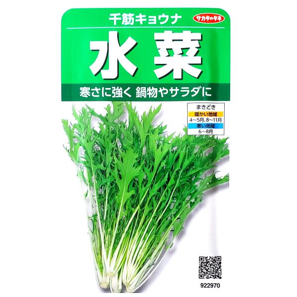 楽天市場】【代引不可】【送料5袋まで80円】 □太茎千筋京水菜 : 錦幸