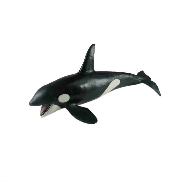 楽天市場】フェバリット 海洋生物フィギュアビニールモデル