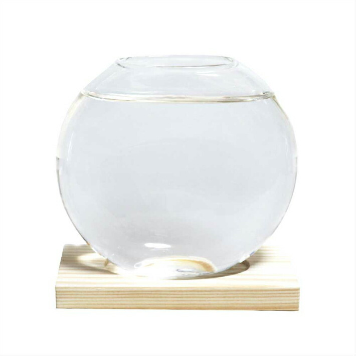 楽天市場 木製花瓶スタンド 水耕栽培花瓶 卓上花瓶 植物栽培ガラス 水栽培容器 ハイドロカルチャー Fb 1 ディスプレイ アートジャパン