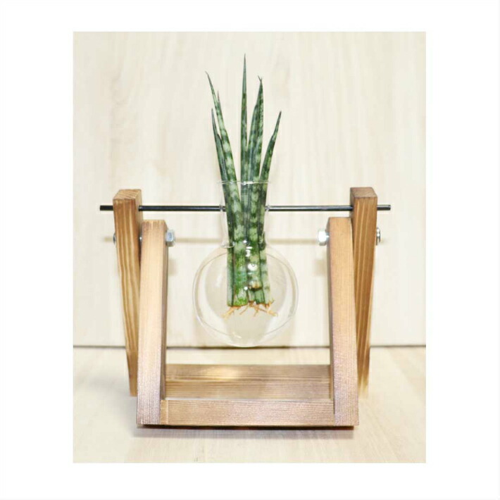 楽天市場 木製花瓶スタンド 水耕栽培花瓶 卓上花瓶 植物栽培ガラス 水栽培容器 ハイドロカルチャー フラスコ1個 Fbaa 1 ディスプレイ アートジャパン