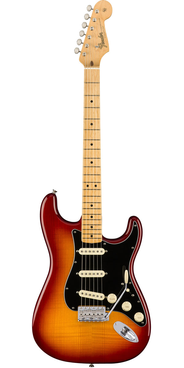 FENDER JAPAN フェンダージャパン/楽器｜WonderREX